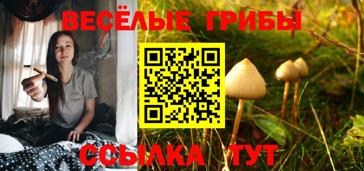 Псилоцибиновые грибы Cubensis  Вход с VPN  Артёмовский 